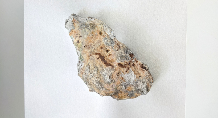 Rock-drawing Exchange: Clare S