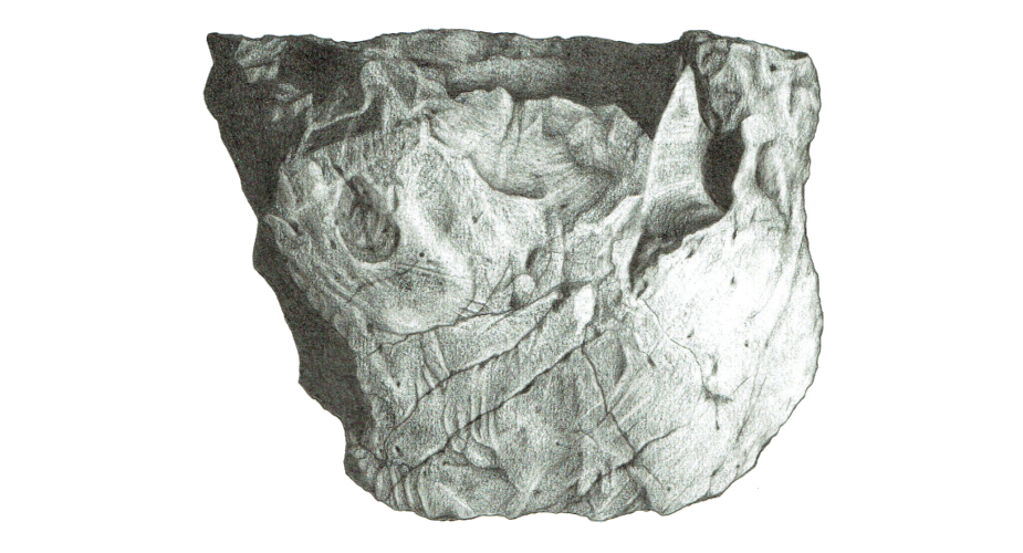 Anvil