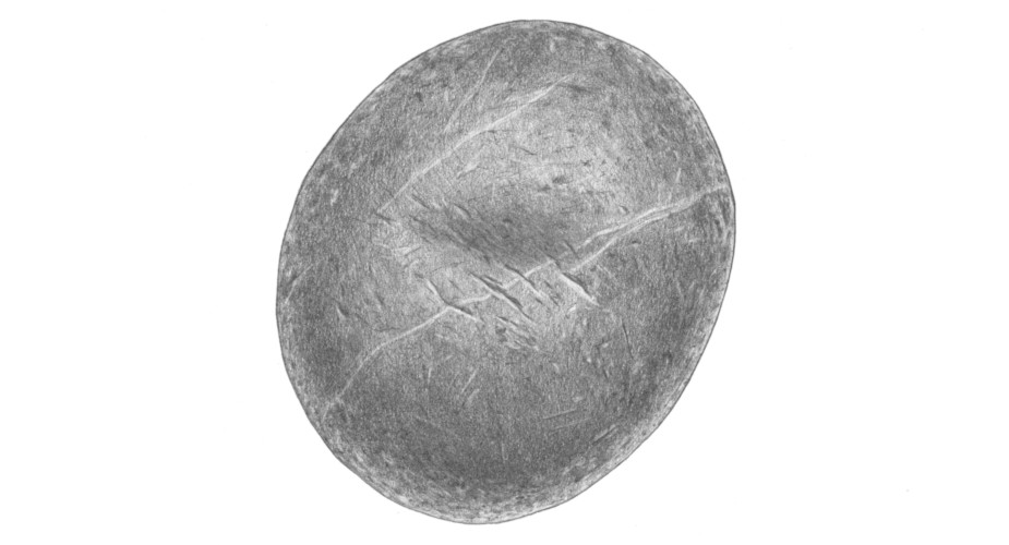 Hammerstone